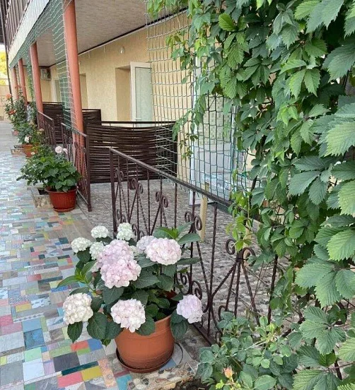 "Villa Ludmila" гостевой дом, Курортное Фото: 12 из 46
