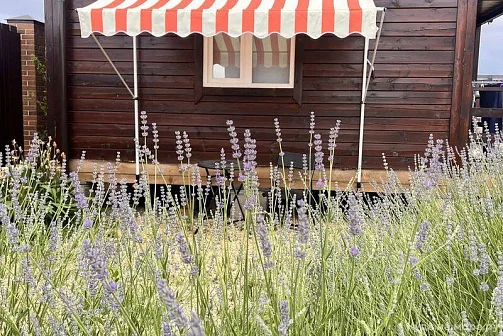 "комплекс коттеджей Villa La Vika" база отдыха, Джемете Фото: 5 из 50
