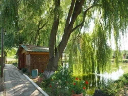 "Зеленый яр" база отдыха, Мазанка Фото: 11 из 39