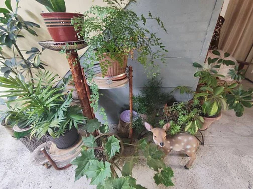 "Наш Абхазкий Дом" частный сектор, Цандрипш Фото: 5 из 24