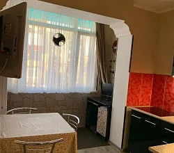 1-комнатная квартира Курчатова 108