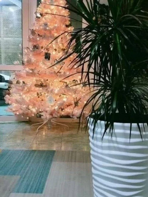 "Эллинг № 5" эллинг, Волконка Фото: 45 из 48