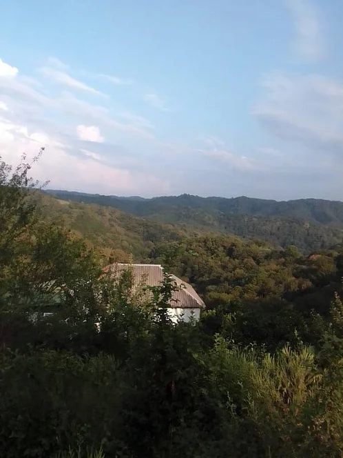 "У Гагарина" частный сектор, Пицунда Фото: 36 из 40