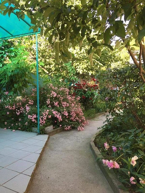 "Гостевые Домики У Светланы Зеленый Дворик" частный сектор, Сукко Фото: 7 из 34