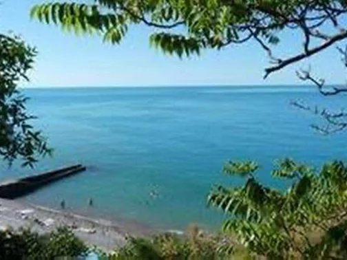 Гостевые комнаты Алупкинское шоссе 72/Г , Мисхор Фото: 12 из 19