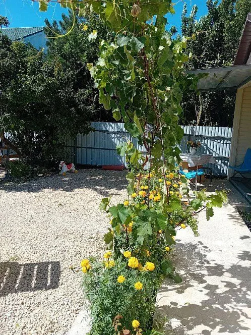 "Уютные домики" частный сектор, Кучугуры Фото: 21 из 49