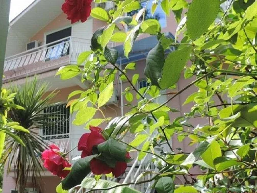 "На волне" гостевой дом, Хоста Фото: 6 из 24