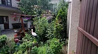 "Фольклор", Анапа
