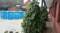 "Мечта" частный сектор, Пересыпь