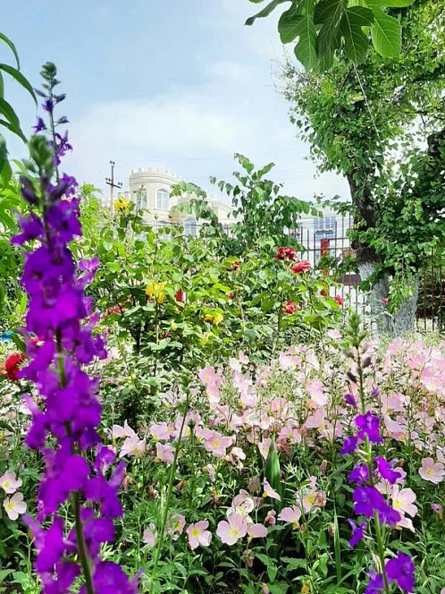 "Янис" гостевой дом, Витязево Фото: 9 из 51