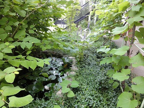 "Ласточкино гнездо" гостевой дом, Феодосия Фото: 9 из 50
