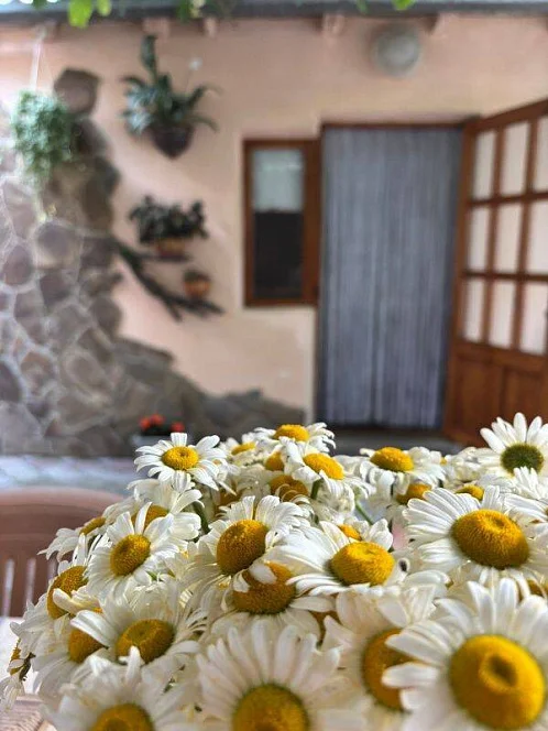 "Инжир" дом под-ключ, Алушта Фото: 6 из 32