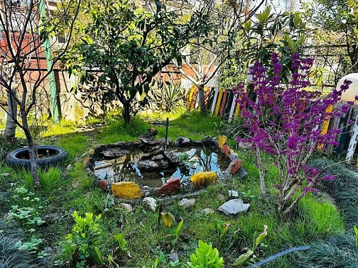 Этаж под ключ Р. Агрба 14, Сухум Фото: 3 из 16