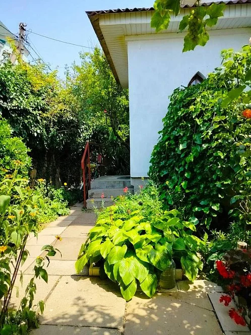 "Нектарин" частный сектор, Саки Фото: 9 из 33