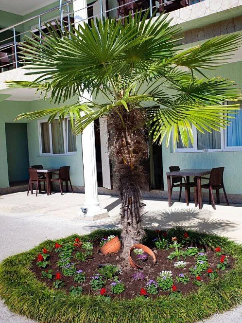 "Ася" гостевой дом, Цандрипш Фото: 10 из 18