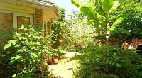 "Цезарь" частный сектор, Архипо-Осиповка