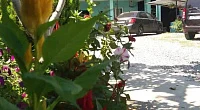 "У Эммы" гостевой дом, Гечрипш