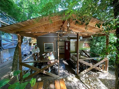"Синергия" база отдыха, Бетта Фото: 6 из 49