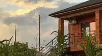 "Алыча" гостевой дом, Пицунда