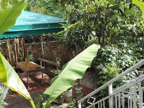 "На волне" гостевой дом, Хоста Фото: 15 из 24