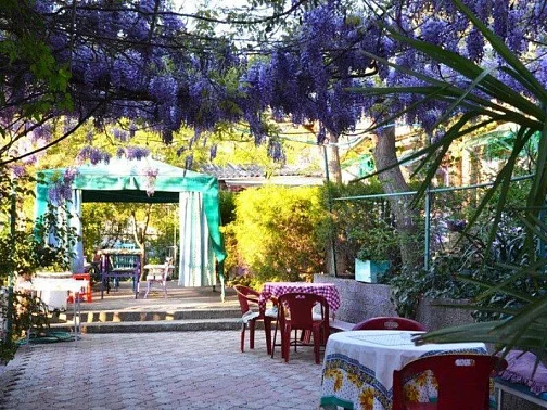 Частный сектор Мичурина 12/а, Коктебель Фото: 2 из 51