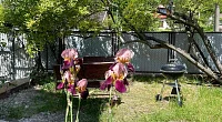 "Дача у моря" гостевой дом, Агой