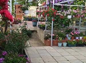 Дом  Цветочная 22