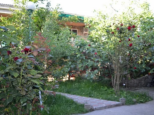 "Уютный дворик" гостевой дом, Алушта Фото: 6 из 49