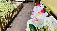 "ЭКО-отель Агапи" мини-гостиница, Джемете