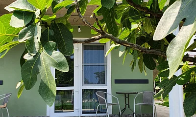 "Феличита" гостевой дом, Сухум Фото: 1 из 25