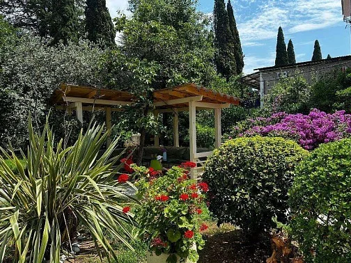 "Дали" гостиница, Гагра Фото: 7 из 51