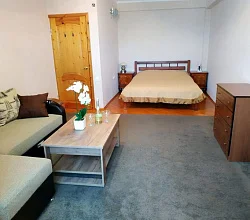 1-комнатная квартира Лакоба 1 кв 26