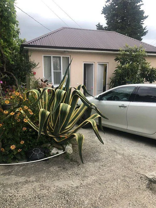 "У Моря" частный сектор, Приморское Фото: 4 из 35