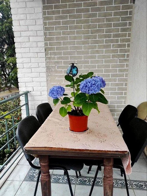 "S&S" частное домовладение, Лазаревское Фото: 38 из 49