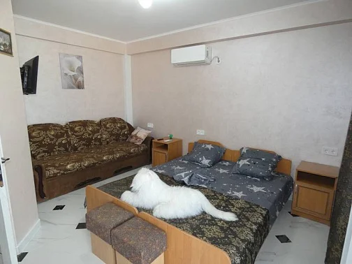 "В гостях у Ирушки" гостевой дом, Коктебель Фото: 5 из 22