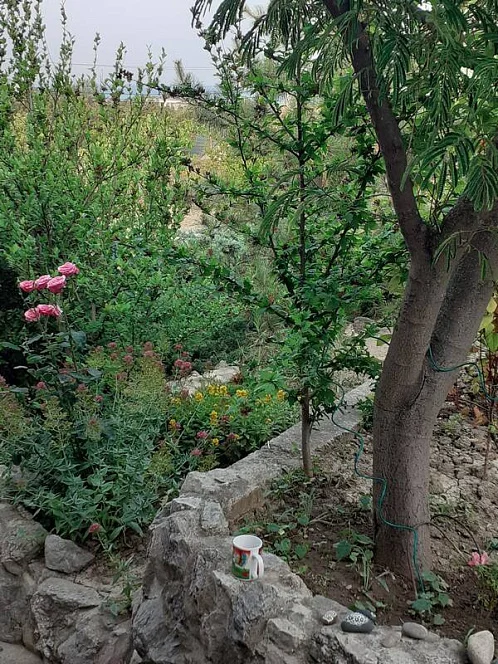 "На Курортной" частный сектор, Курортное Фото: 6 из 34