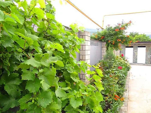 "Helen" частный сектор, Геленджик Фото: 3 из 4