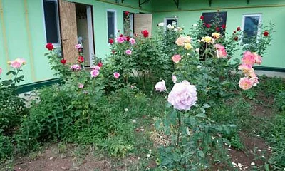 "У Галины" гостевой дом , Крым Фото: 1 из 4