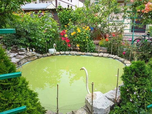 Гостевой дом Тенистая 20, Геленджик Фото: 11 из 51