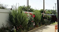 "Ирис" гостевой дом, Кучугуры