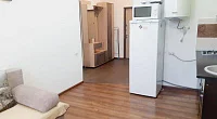 1-комнатная квартира Станиславского 11, Сириус