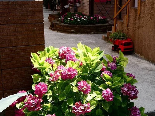 "ЭВА" гостевой дом, Новомихайловский Фото: 14 из 26