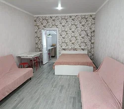 1-комнатная квартира Олега Кошевого 15 бокс 100