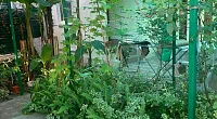 "Клевер" частный сектор, Адлер