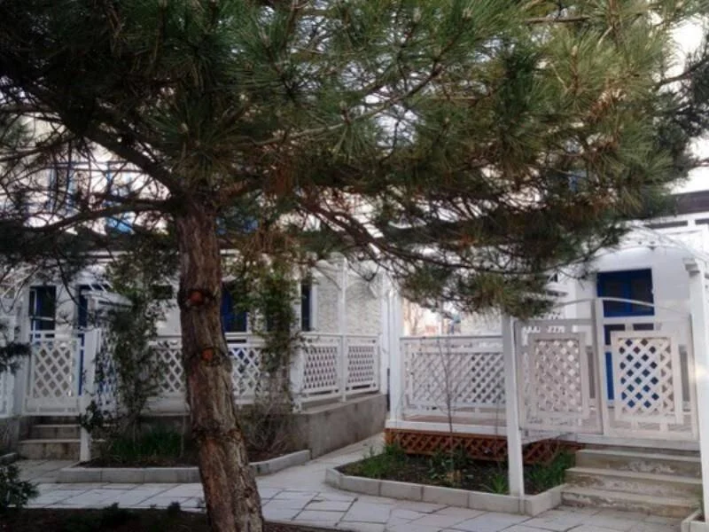 "Шелковичный сад" гостевой дом, Саки Фото: 5 из 43